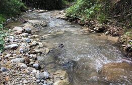 Teren, 9.746 mp, zona Cernadia