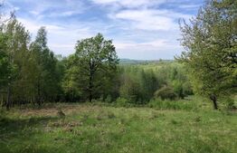 Teren, 9.746 mp, zona Cernadia