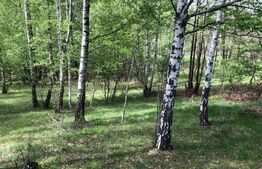 Teren, 9.746 mp, zona Cernadia