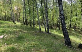 Teren, 9.746 mp, zona Cernadia