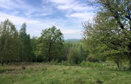 Teren, 9.746 mp, zona Cernadia