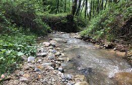 Teren, 9.746 mp, zona Cernadia