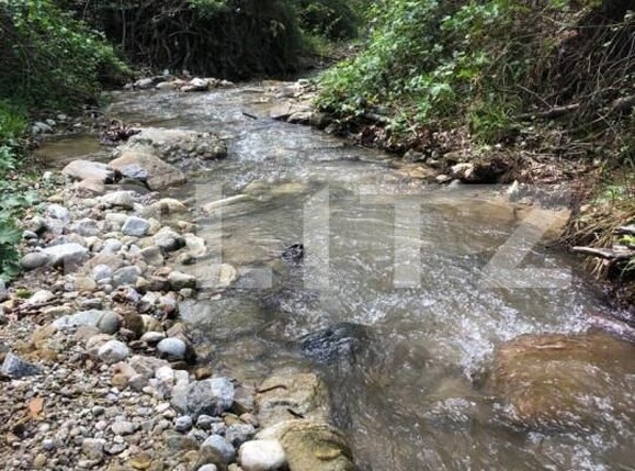 Teren de vânzare Cernadia - 162686TV | BLITZ Târgu Jiu | Poza4