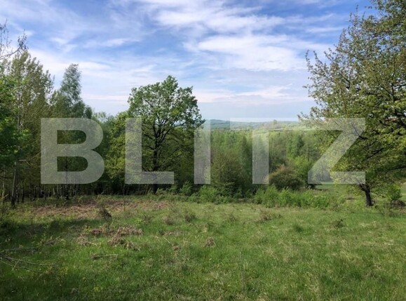 Teren de vânzare Cernadia - 162686TV | BLITZ Târgu Jiu | Poza8