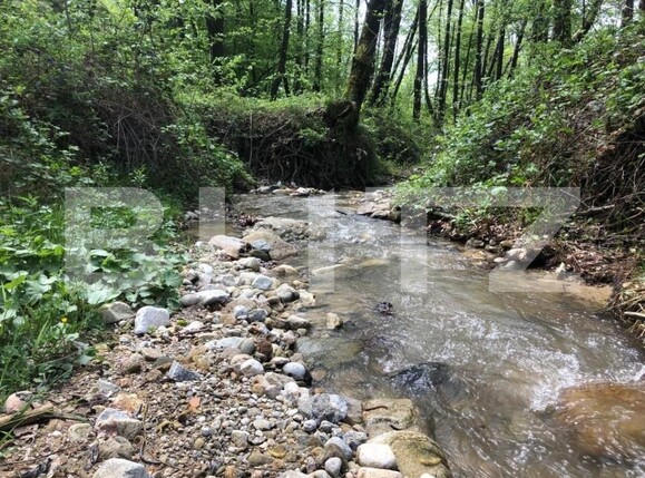 Teren de vânzare Cernadia - 162686TV | BLITZ Târgu Jiu | Poza1