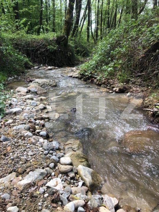 Teren de vânzare Cernadia - 162686TV | BLITZ Târgu Jiu | Poza4