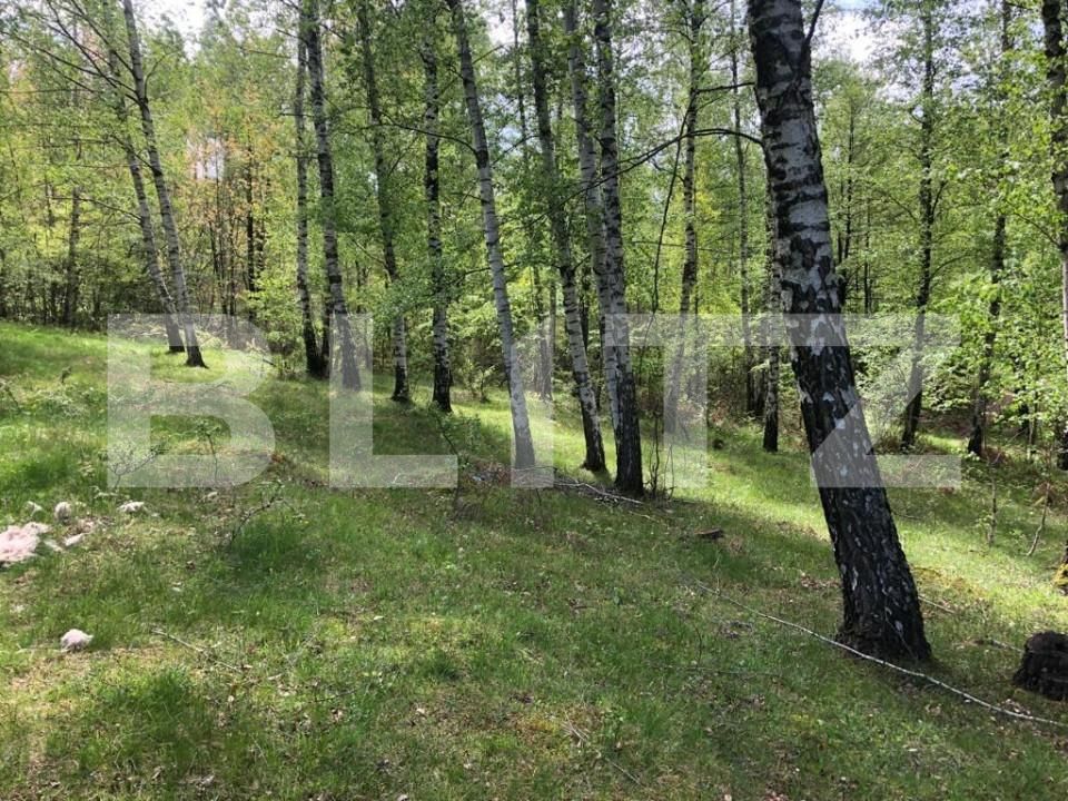 Teren de vânzare Cernadia - 162686TV | BLITZ Târgu Jiu | Poza5