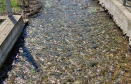 Casa P+E+M cu 4 camere, 250 mp si 3000 mp teren, zona Arcani