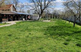 Casa P+E+M cu 4 camere, 250 mp si 3000 mp teren, zona Arcani