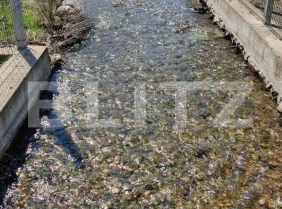 Casa de vânzare 4 camere Exterior Vest - 162745CV | BLITZ Târgu Jiu | Poza10