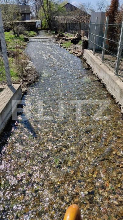 Casa de vânzare 4 camere Exterior Vest - 162745CV | BLITZ Târgu Jiu | Poza10