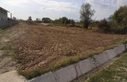 Teren de vânzare Sud Vest - 107466TV | BLITZ Târgu Jiu | Poza4