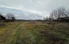 Teren intravilan, 4000 mp, zona Calnic