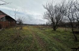 Teren intravilan, 4000 mp, zona Calnic