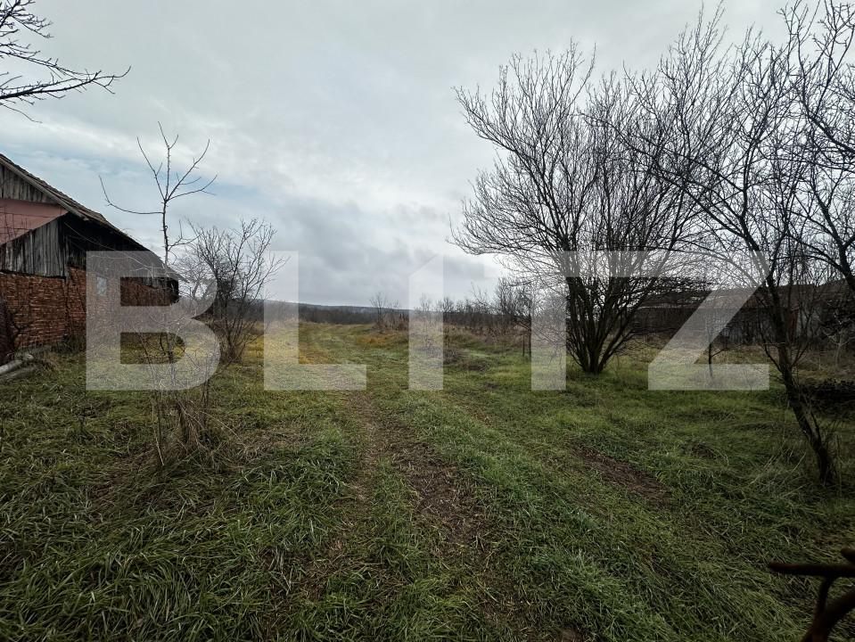 Teren de vânzare Exterior Vest - 163613TV | BLITZ Târgu Jiu | Poza4