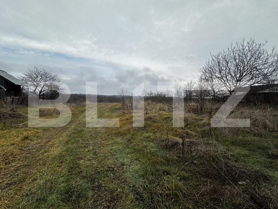 Teren de vânzare Exterior Vest - 163613TV | BLITZ Târgu Jiu | Poza2