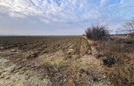 Oportunitate-Teren intravilan de vanzare, 5000 mp, zona Comuna Danesti-Bucureasa