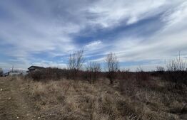 Teren extravilan de vanzare, 15.000 mp, zona Narcise II