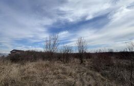 Teren extravilan de vanzare, 15.000 mp, zona Narcise II