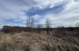 Teren extravilan de vanzare, 15.000 mp, zona Narcise II