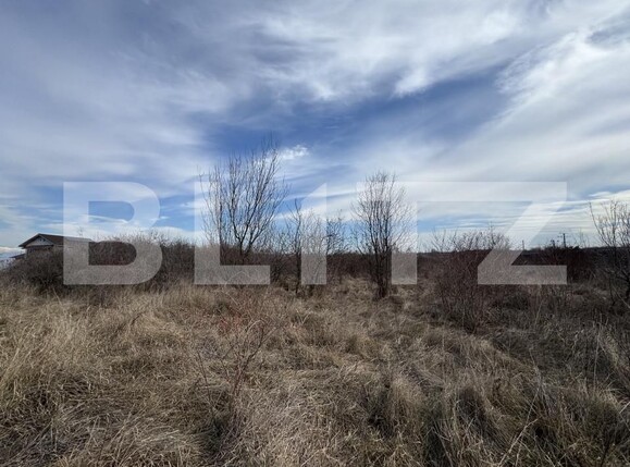 Teren de vânzare Centura Narciselor - 164652TV | BLITZ Târgu Jiu | Poza1