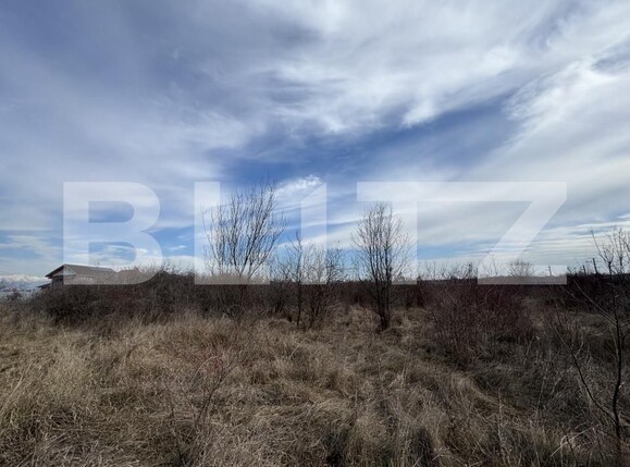 Teren de vânzare Centura Narciselor - 164652TV | BLITZ Târgu Jiu | Poza3