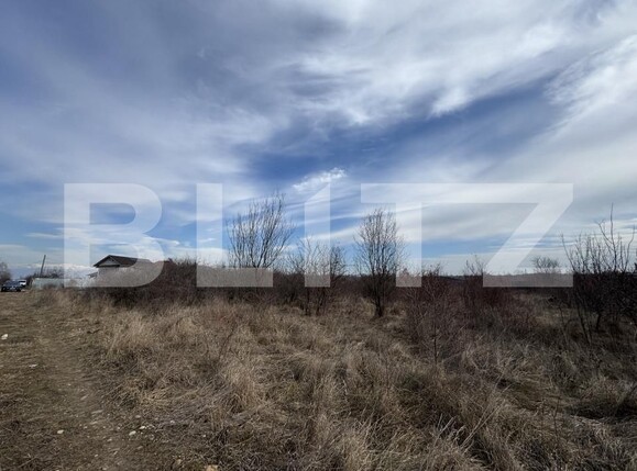 Teren de vânzare Centura Narciselor - 164652TV | BLITZ Târgu Jiu | Poza2