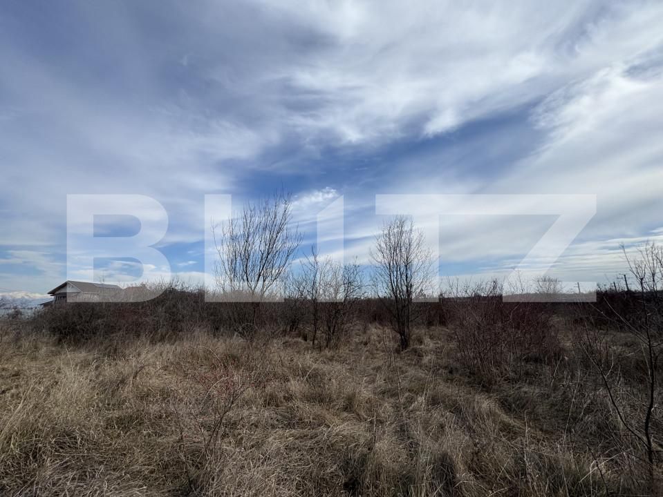 Teren de vânzare Centura Narciselor - 164652TV | BLITZ Târgu Jiu | Poza3