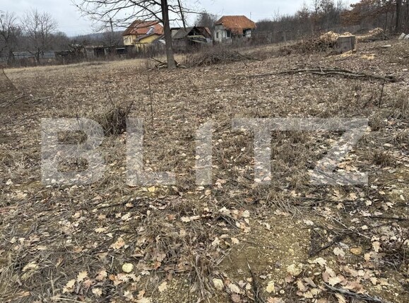 Teren de vânzare Exterior Vest - 164989TV | BLITZ Târgu Jiu | Poza2