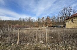 Teren 950 mp intravilan, zona Dragoieni