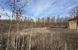 Teren 950 mp intravilan, zona Dragoieni