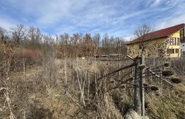 Teren 950 mp intravilan, zona Dragoieni