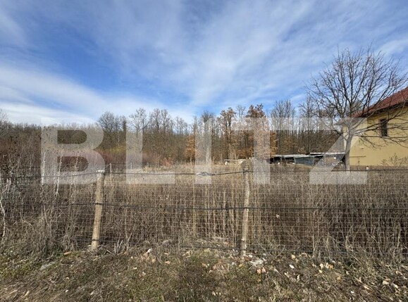 Teren de vânzare Sud - 165110TV | BLITZ Târgu Jiu | Poza1