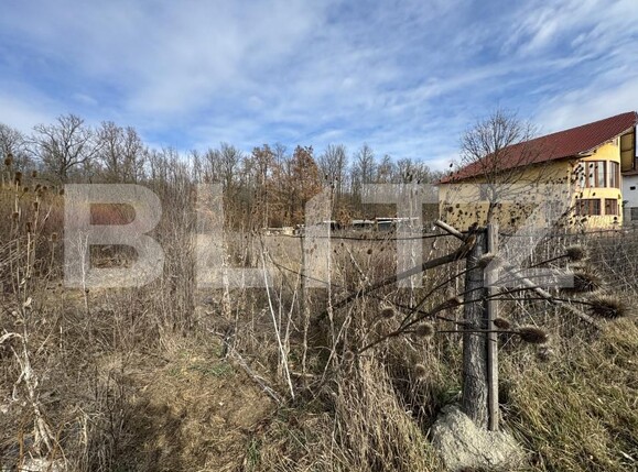Teren de vânzare Sud - 165110TV | BLITZ Târgu Jiu | Poza3