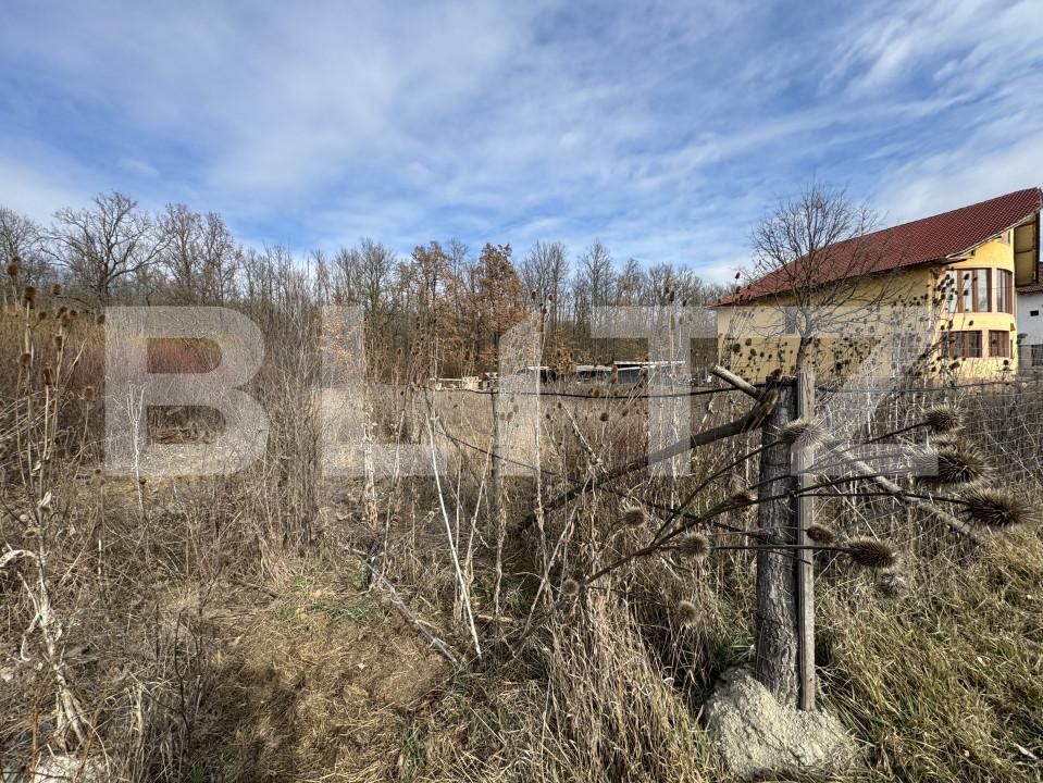 Teren de vânzare Sud - 165110TV | BLITZ Târgu Jiu | Poza3