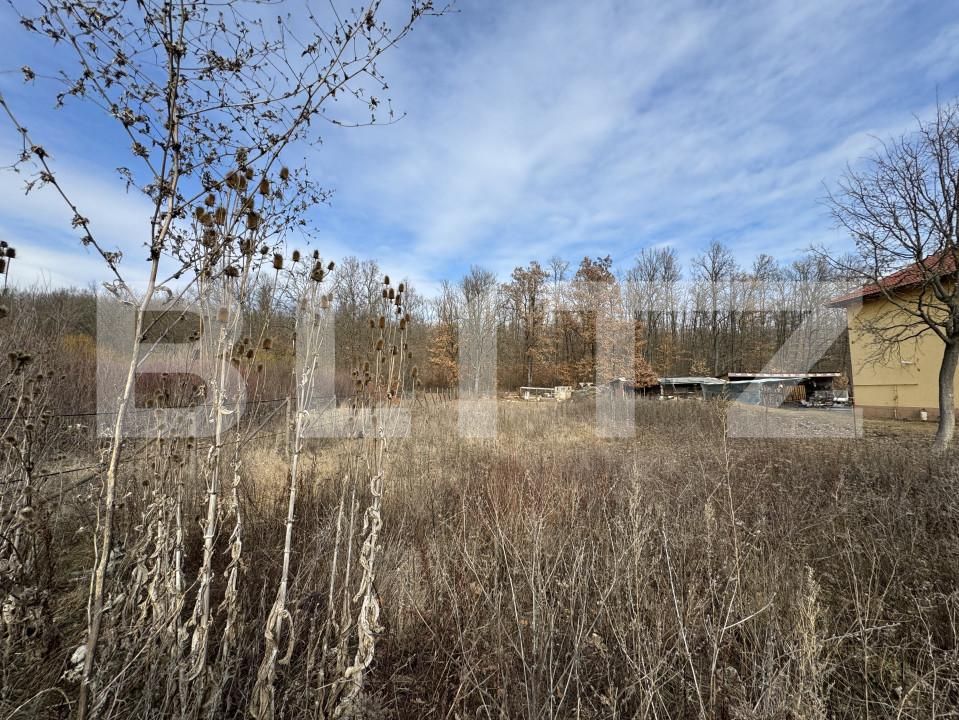 Teren de vânzare Sud - 165110TV | BLITZ Târgu Jiu | Poza2