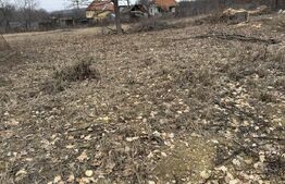 Teren intravilan de vanzare, 1700 mp, zona Stroiesti 