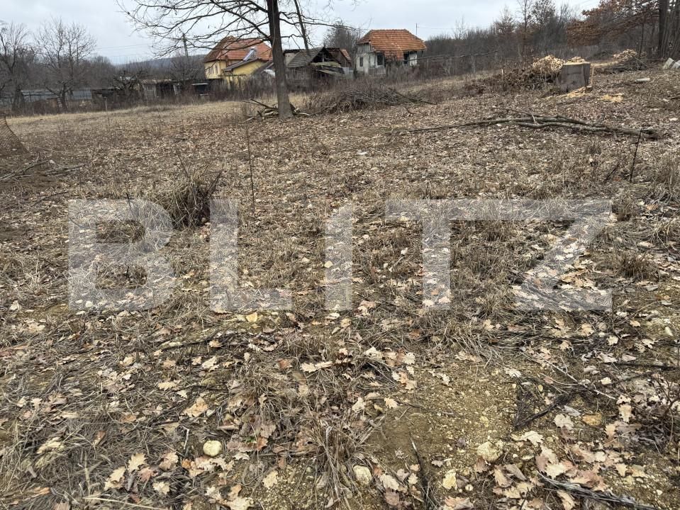 Teren de vânzare Exterior Vest - 166510TV | BLITZ Târgu Jiu | Poza3