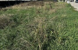 Teren intravilan de vanzare, 500 mp, zona Primaverii