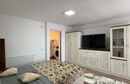 Garsoniera de vanzare, 28 mp, confort 1, zona Debarcader