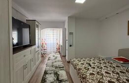 Garsoniera de vanzare, 28 mp, confort 1, zona Debarcader