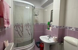 Garsoniera de vanzare, 28 mp, confort 1, zona Debarcader