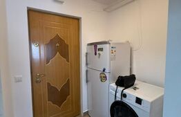 Garsoniera de vanzare, 28 mp, confort 1, zona Debarcader