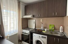 Garsoniera de vanzare, 28 mp, confort 1, zona Debarcader