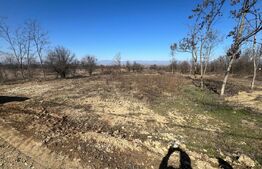 Oportunitate de investitie! Teren intravilan de vanzare, 1700 mp, zona Danesti