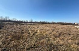 Teren Intravilan de vanzare, 2.574 mp, zona Dragutesti