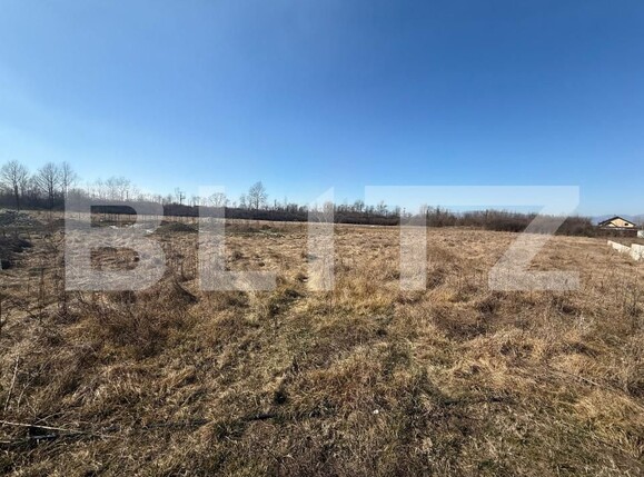Teren de vânzare Sud - 166954TV | BLITZ Târgu Jiu | Poza1