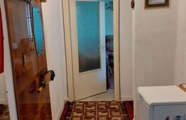Apartament de vanzare, cu 2 camere, 42 mp, zona Teilor