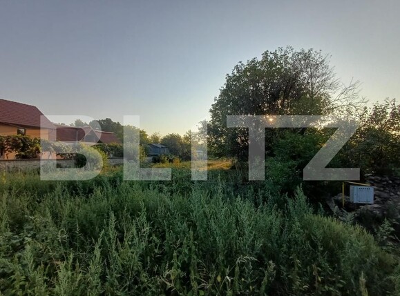 Teren de vânzare Cartiu - 167830TV | BLITZ Târgu Jiu | Poza1