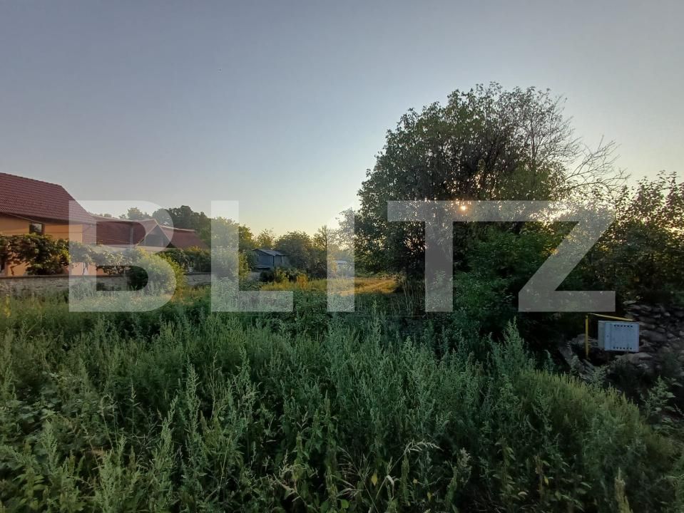 Teren de vânzare Cartiu - 167830TV | BLITZ Târgu Jiu | Poza1